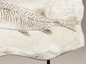 figurine fish stone 3D 模型