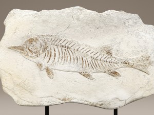 figurine fish stone 3D 模型