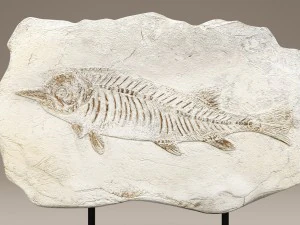 figurine fish stone 3D Model