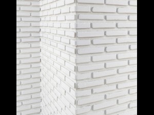 white bricks 3D Модель