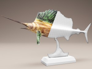 swordfish 3D मॉडल