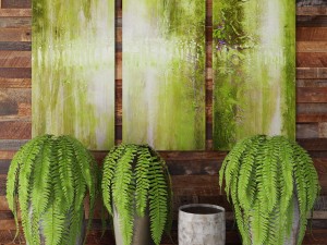 fern collection 3D Model