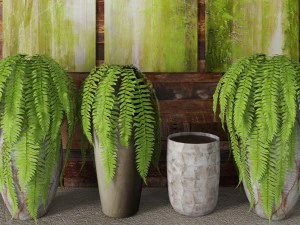 fern collection 3D Model