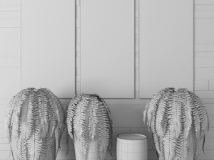 fern collection Modello 3D
