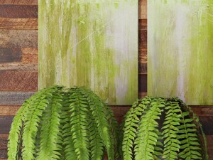 fern collection Modello 3D