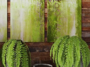 fern collection Modello 3D