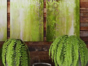 fern collection 3D Model