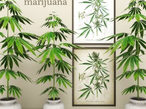 cannabis Modelo 3D
