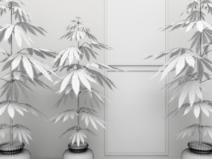 cannabis 3D Модель