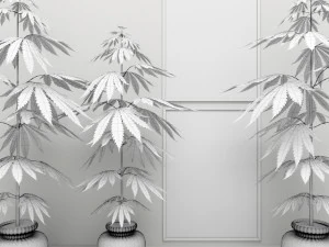 cannabis 3D Model