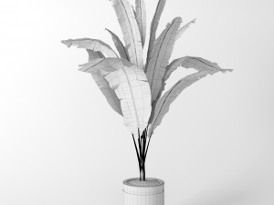 banana tree 3D मॉडल
