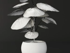 palm tree 3D Model