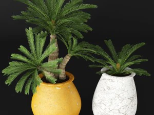 palmeira Modelo 3D
