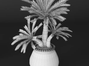 palmeira Modelo 3D
