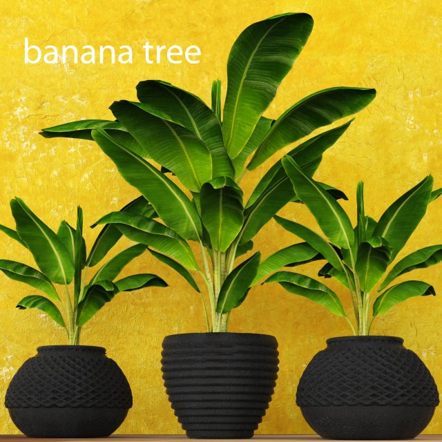 banana tree 3D 模型 .c4d .max .obj .3ds .fbx .stl .blend 