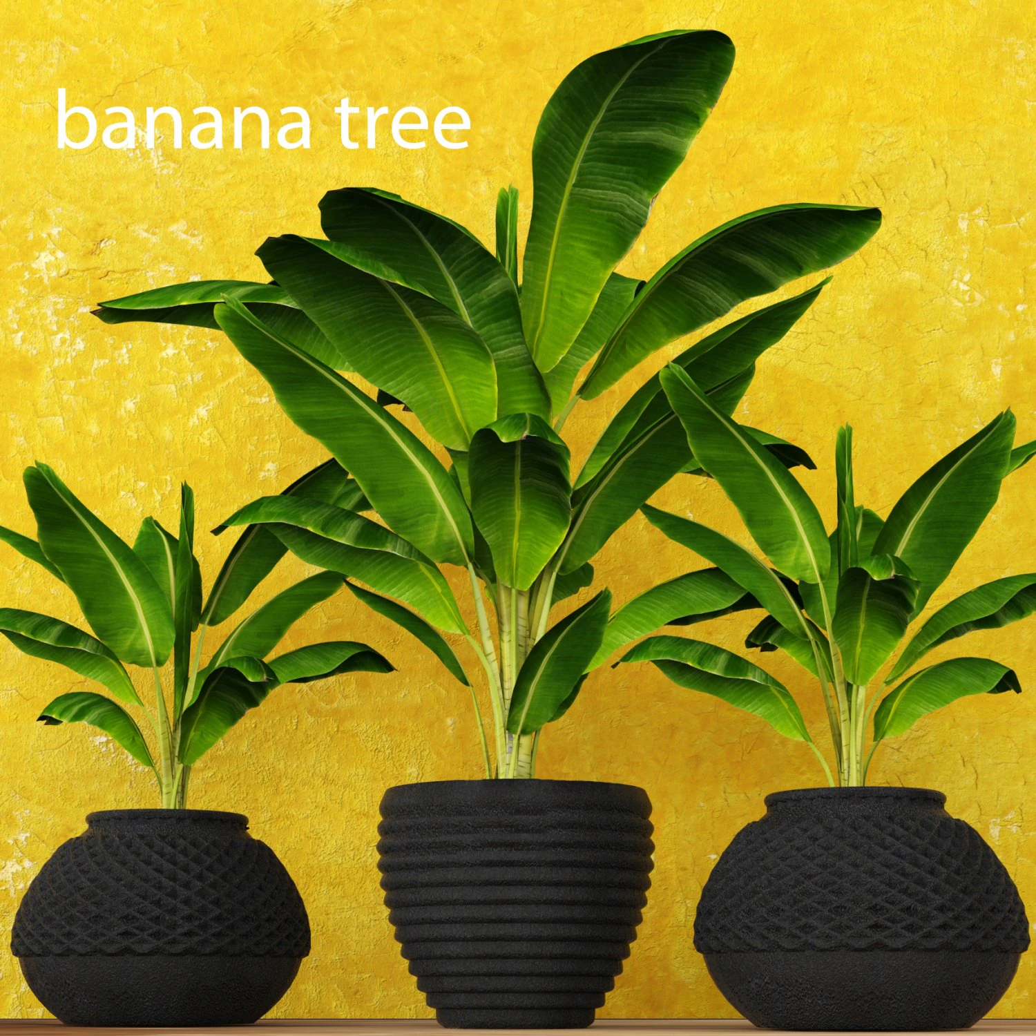 banana tree 3D Model .c4d .max .obj .3ds .fbx .stl .blend