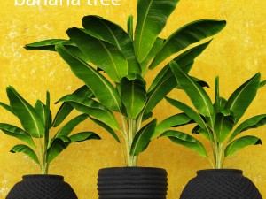 banana tree Modèle 3D