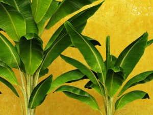banana tree 3D 模型