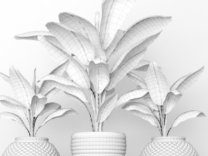 banana tree 3D 模型