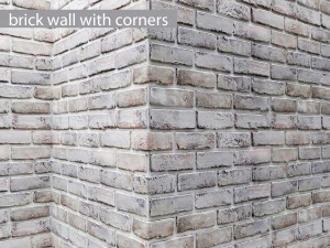 white bricks 3D Model