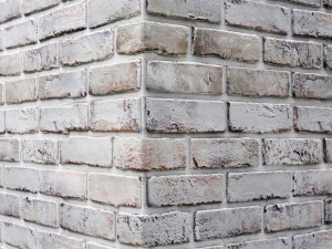 white bricks 3D 모델