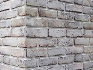 white bricks 3D 모델