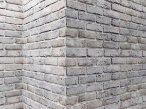 white bricks 3D 모델