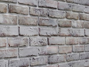 white bricks 3D 모델