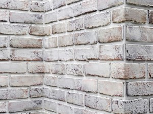 white bricks 3D 모델