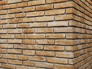 bricks 3D Model