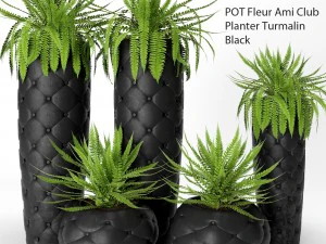 doniczki z paprociami Model 3D