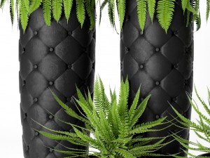 fern pots 3D Model