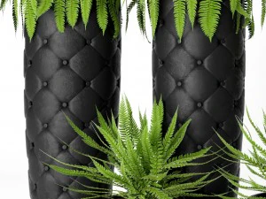 fern pots 3D Model