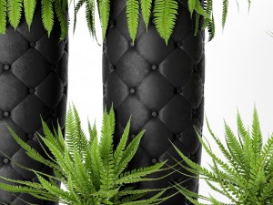 fern pots 3D Model
