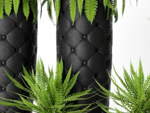 fern pots 3D Model