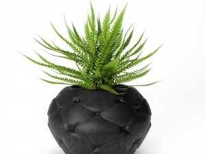 fern pots 3D Model