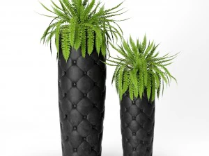 fern pots 3D Model