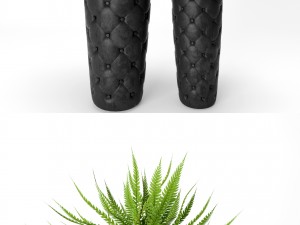 fern pots 3D Model