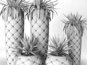 fern pots 3D Model