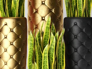 sansevieria trifasciata 3D Model