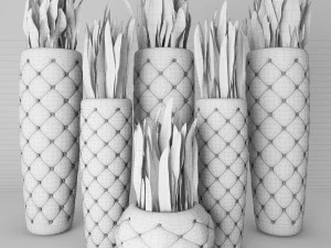 sansevieria trifasciata 3D Model