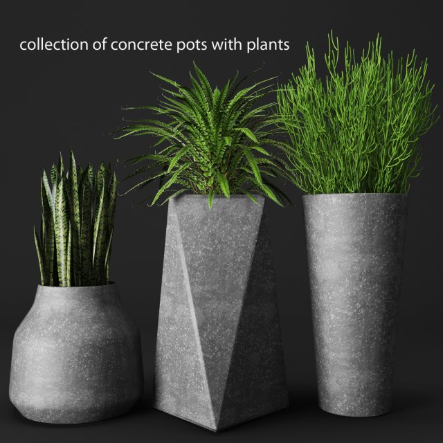 potted plants Model 3D .c4d .max .obj .3ds .fbx .stl .blend 