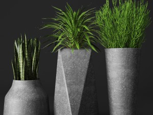 potted plants 3D Model