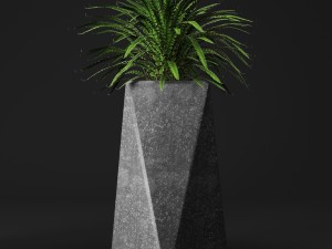 potted plants Model 3D
