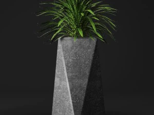 potted plants 3D Model