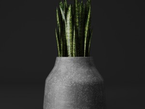 potted plants Model 3D