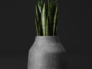 potted plants 3D Model
