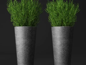 potted plants 3D Model