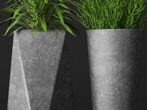 potted plants 3D Model