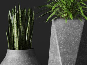 potted plants Model 3D